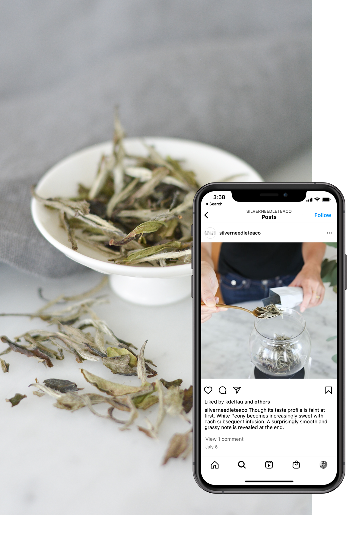 LIFESTYLE PHOTOGRAPHY FOR SILVER NEEDLE TEA