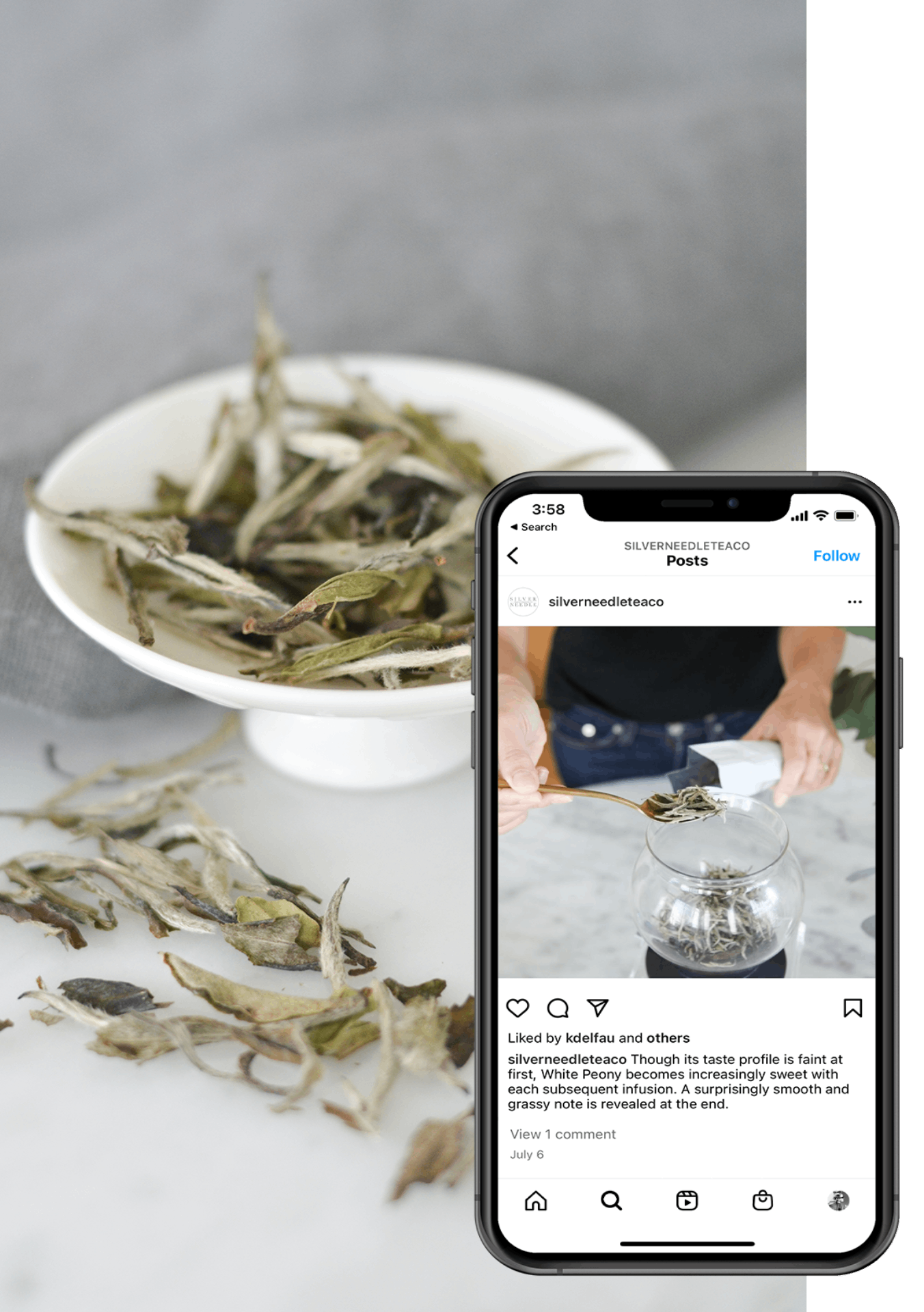 LIFESTYLE PHOTOGRAPHY FOR SILVER NEEDLE TEA